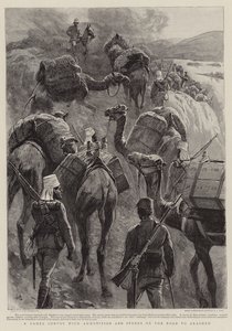 Um comboio de camelos com munições e lojas na estrada para Akasheh
